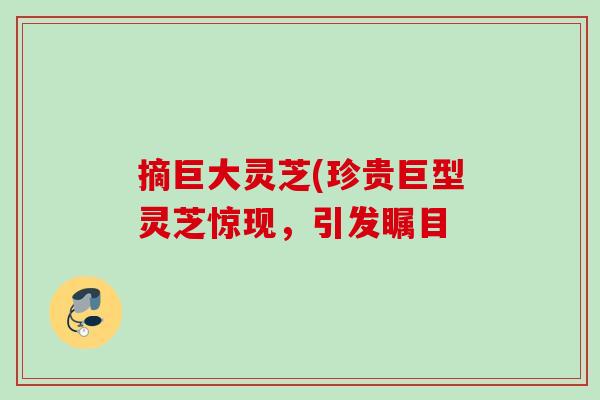摘巨大灵芝(珍贵巨型灵芝惊现，引发瞩目