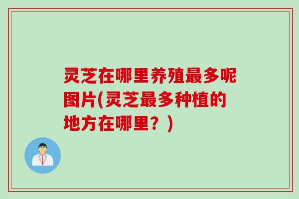 灵芝在哪里养殖最多呢图片(灵芝最多种植的地方在哪里？)