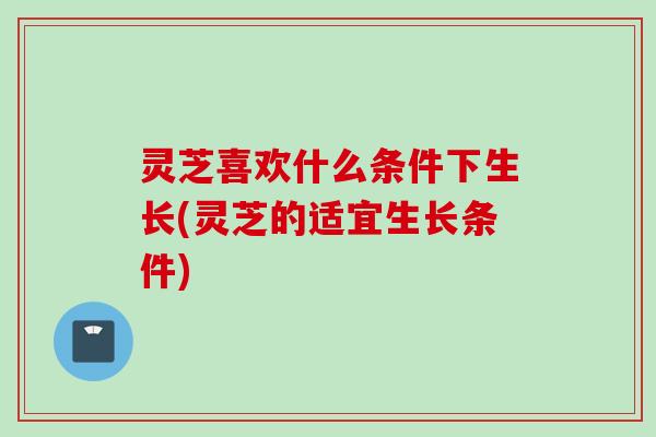 灵芝喜欢什么条件下生长(灵芝的适宜生长条件)