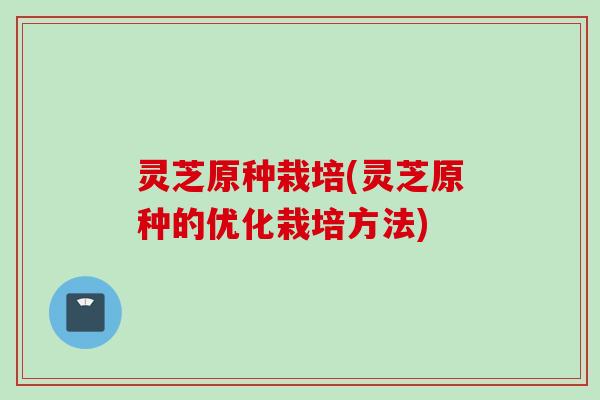 灵芝原种栽培(灵芝原种的优化栽培方法)