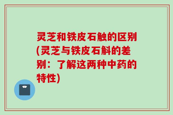 灵芝和铁皮石触的区别(灵芝与铁皮石斛的差别：了解这两种中药的特性)