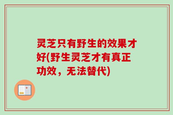 灵芝只有野生的效果才好(野生灵芝才有真正功效,无法替代) 灵芝只有野生的效果才好(野生灵芝才有真正功效,无法替代)