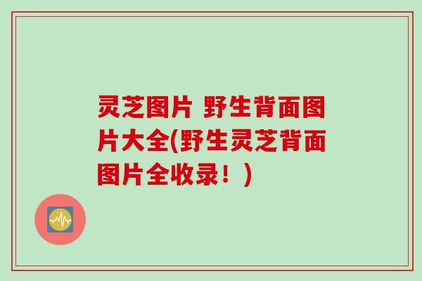 灵芝图片 野生背面图片大全(野生灵芝背面图片全收录！)