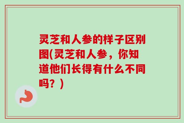 灵芝和人参的样子区别图(灵芝和人参，你知道他们长得有什么不同吗？)