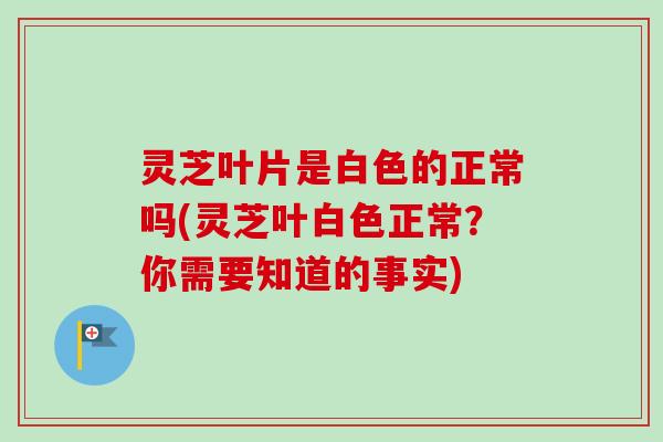 灵芝叶片是白色的正常吗(灵芝叶白色正常？你需要知道的事实)