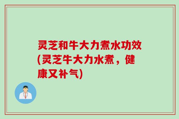 灵芝和牛大力煮水功效(灵芝牛大力水煮，健康又补气)
