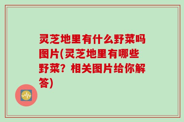 灵芝地里有什么野菜吗图片(灵芝地里有哪些野菜？相关图片给你解答)