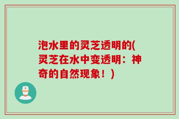 泡水里的灵芝透明的(灵芝在水中变透明：神奇的自然现象！)