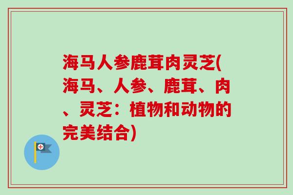 海马人参鹿茸肉灵芝(海马、人参、鹿茸、肉、灵芝：植物和动物的完美结合)