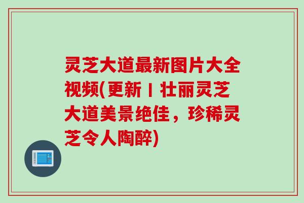 灵芝大道最新图片大全视频(更新丨壮丽灵芝大道美景绝佳，珍稀灵芝令人陶醉)