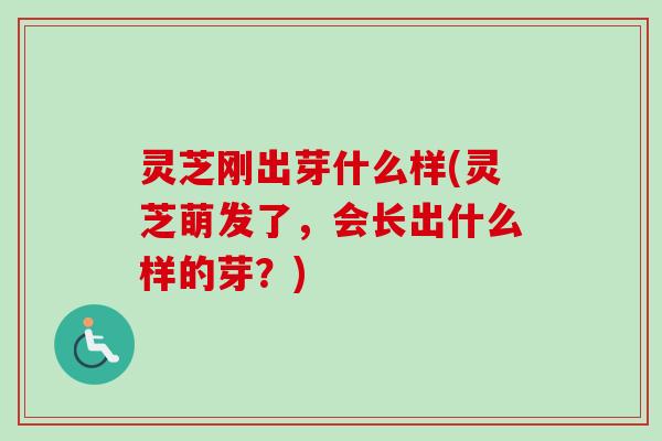 灵芝刚出芽什么样(灵芝萌发了，会长出什么样的芽？)