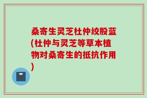 桑寄生灵芝杜仲绞股蓝(杜仲与灵芝等草本植物对桑寄生的抵抗作用)