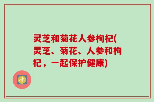灵芝和菊花人参枸杞(灵芝、菊花、人参和枸杞，一起保护健康)