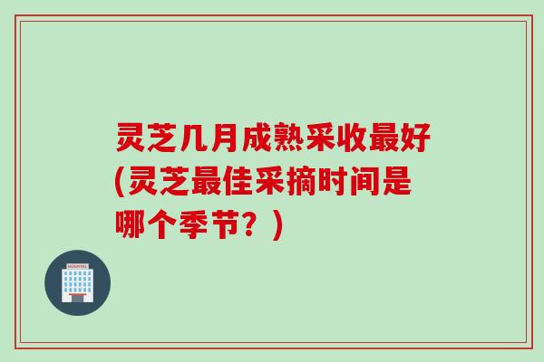 灵芝几月成熟采收最好(灵芝最佳采摘时间是哪个季节？)