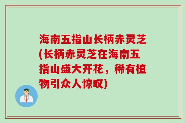 海南五指山长柄赤灵芝(长柄赤灵芝在海南五指山盛大开花，稀有植物引众人惊叹)
