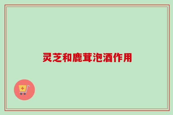 灵芝和鹿茸泡酒作用