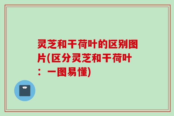 灵芝和干荷叶的区别图片(区分灵芝和干荷叶：一图易懂)