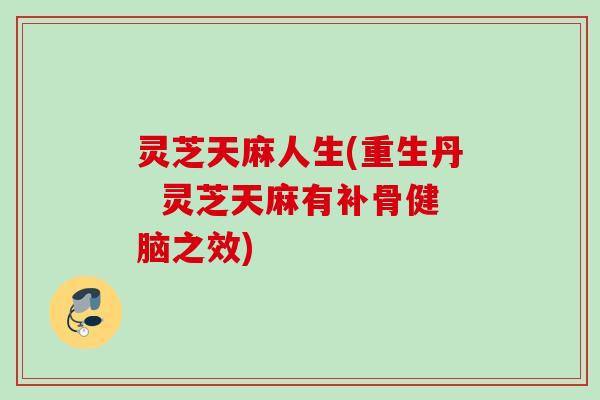 灵芝天麻人生(重生丹  灵芝天麻有补骨健脑之效)