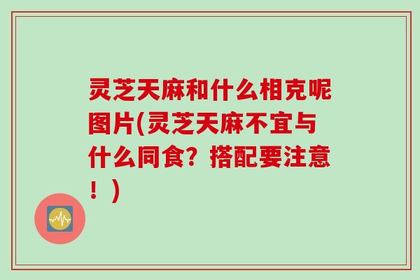 灵芝天麻和什么相克呢图片(灵芝天麻不宜与什么同食？搭配要注意！)