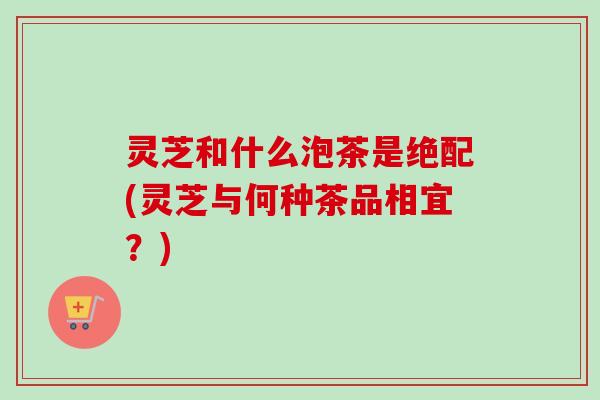 灵芝和什么泡茶是绝配(灵芝与何种茶品相宜？)