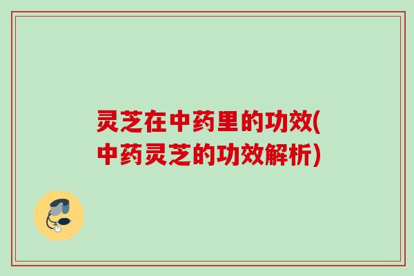 灵芝在中药里的功效(中药灵芝的功效解析)