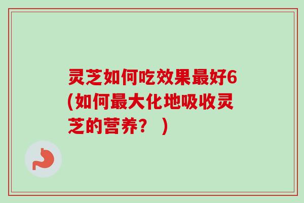 灵芝如何吃效果最好6(如何最大化地吸收灵芝的营养？ )