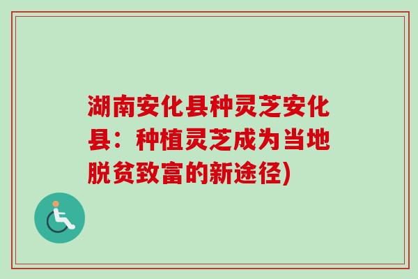 湖南安化县种灵芝安化县：种植灵芝成为当地脱贫致富的新途径)