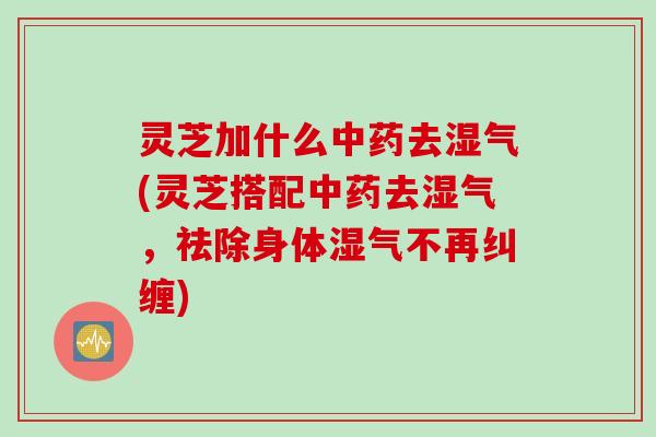 灵芝加什么中药去湿气(灵芝搭配中药去湿气，祛除身体湿气不再纠缠)