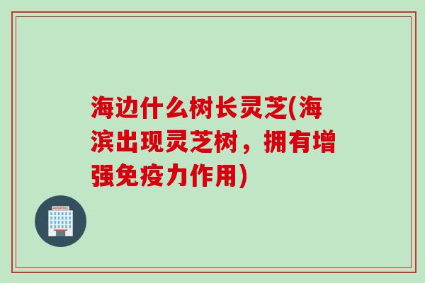 海边什么树长灵芝(海滨出现灵芝树，拥有增强免疫力作用)