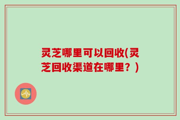 灵芝哪里可以回收(灵芝回收渠道在哪里？)