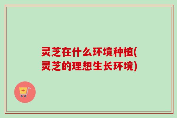 灵芝在什么环境种植(灵芝的理想生长环境)