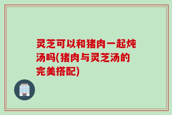 灵芝可以和猪肉一起炖汤吗(猪肉与灵芝汤的完美搭配)