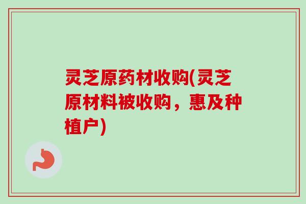 灵芝原药材收购(灵芝原材料被收购,惠及种植户) 灵芝原药材收购(灵芝原材料被收购,惠及种植户)