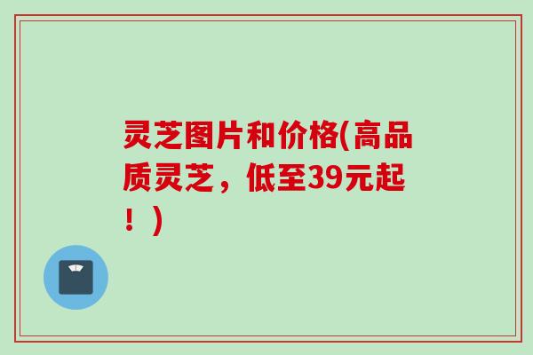 灵芝图片和价格(高品质灵芝，低至39元起！)