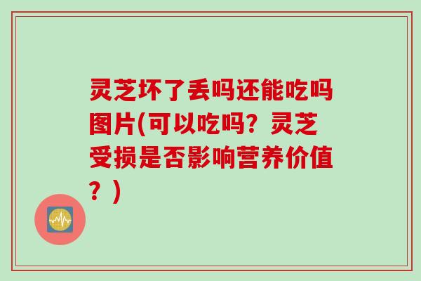 灵芝坏了丢吗还能吃吗图片(可以吃吗？灵芝受损是否影响营养价值？)