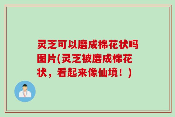 灵芝可以磨成棉花状吗图片(灵芝被磨成棉花状，看起来像仙境！)