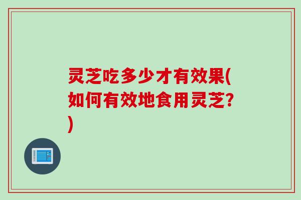 灵芝吃多少才有效果(如何有效地食用灵芝?) 灵芝吃多少才有效果(如何有效地食用灵芝?)