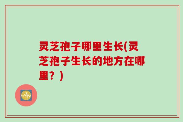 灵芝孢子哪里生长(灵芝孢子生长的地方在哪里？)