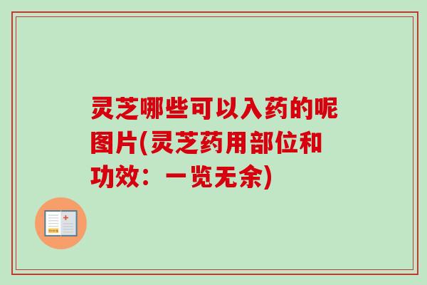 灵芝哪些可以入药的呢图片(灵芝药用部位和功效：一览无余)