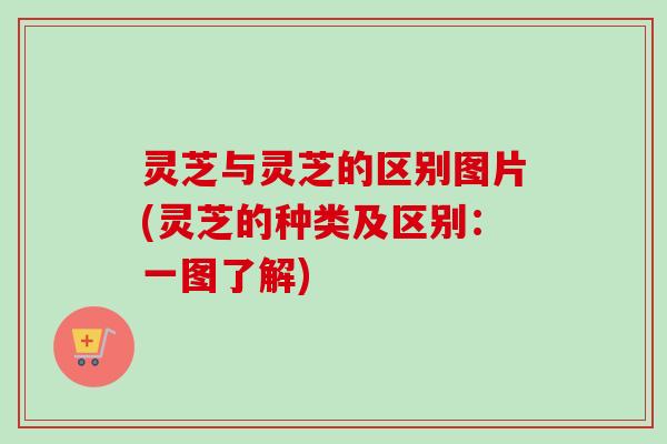 灵芝与灵芝的区别图片(灵芝的种类及区别：一图了解)