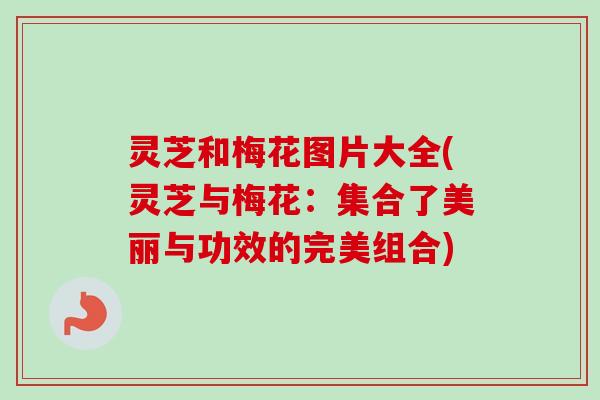 灵芝和梅花图片大全(灵芝与梅花：集合了美丽与功效的完美组合)