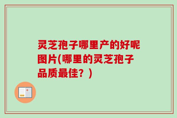 灵芝孢子哪里产的好呢图片(哪里的灵芝孢子品质最佳？)