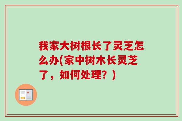我家大树根长了灵芝怎么办(家中树木长灵芝了，如何处理？)