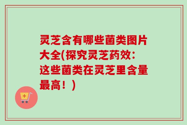 灵芝含有哪些菌类图片大全(探究灵芝药效：这些菌类在灵芝里含量最高！)