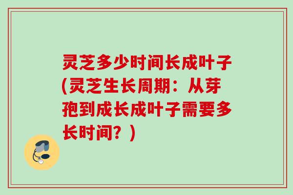 灵芝多少时间长成叶子(灵芝生长周期：从芽孢到成长成叶子需要多长时间？)