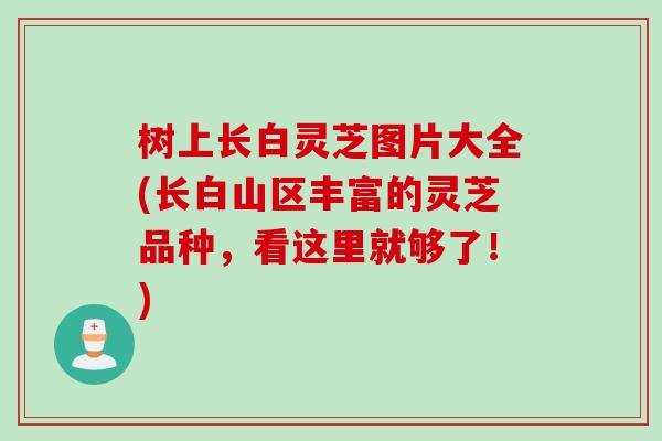 树上长白灵芝图片大全(长白山区丰富的灵芝品种，看这里就够了！)