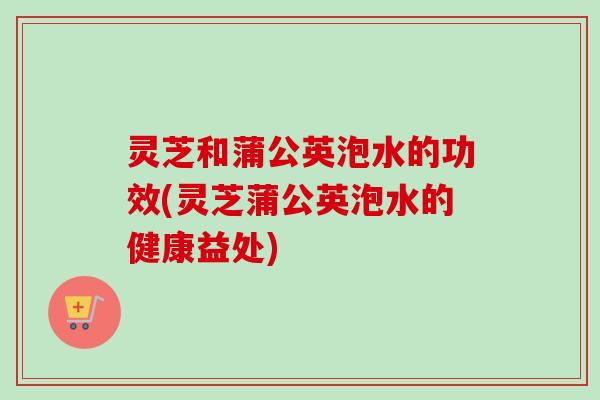 灵芝和蒲公英泡水的功效(灵芝蒲公英泡水的健康益处)