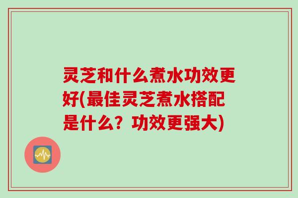 灵芝和什么煮水功效更好(最佳灵芝煮水搭配是什么？功效更强大)