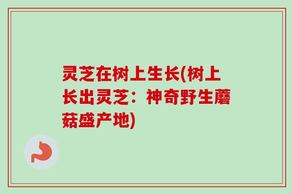 灵芝在树上生长(树上长出灵芝：神奇野生蘑菇盛产地)
