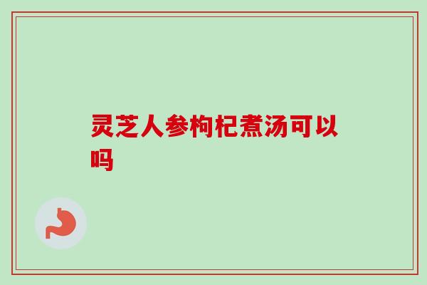 灵芝人参枸杞煮汤可以吗